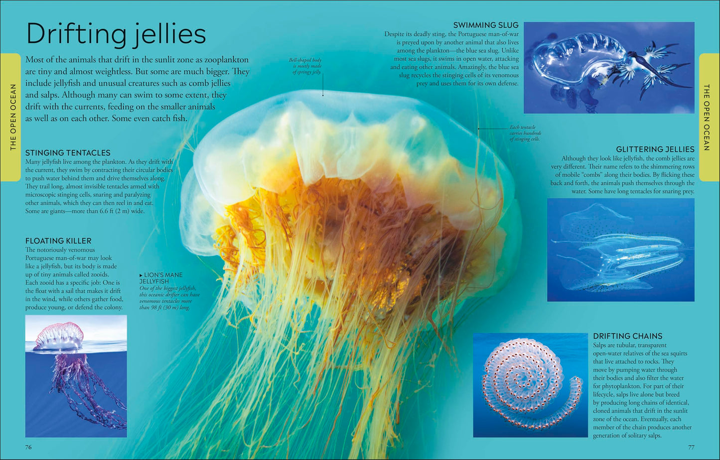 Ocean: A Visual Encyclopedia