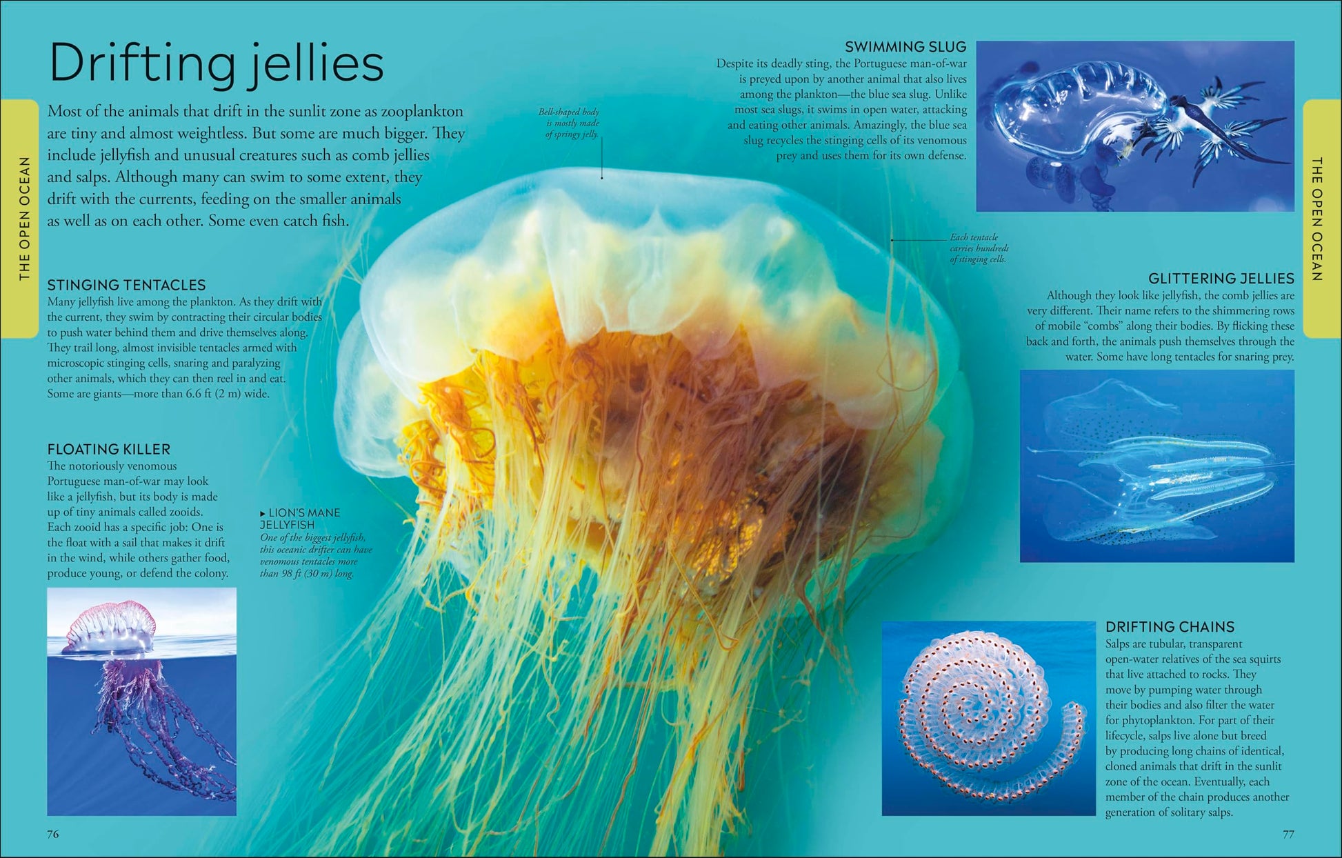 Ocean: A Visual Encyclopedia