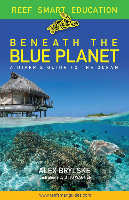 Beneath the Blue Planet: A Diver’s Guide to the Ocean and Its Conservation (Gift for Scuba Divers, Snorkelers, and Travelers)      Paperback – Feb. 14 2023