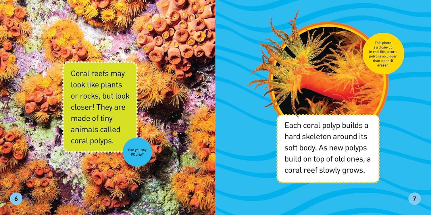 Explore My World: Coral Reefs      Paperback – March 6 2018