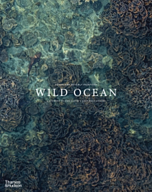 Wild Ocean: A Journey