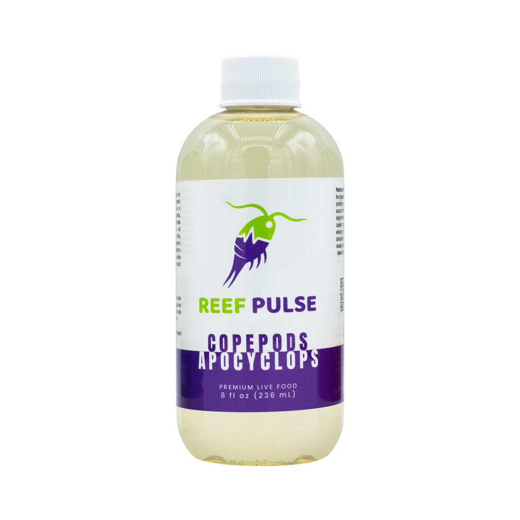 Apocyclops Live Copepods - Reef Pulse