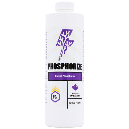Phosphorize