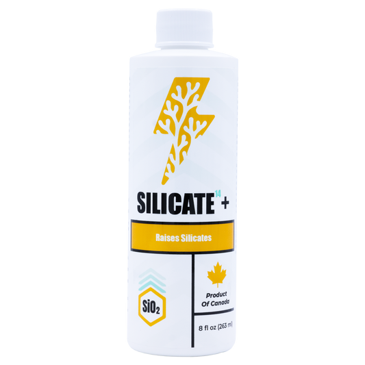 Silicate¹⁴+
