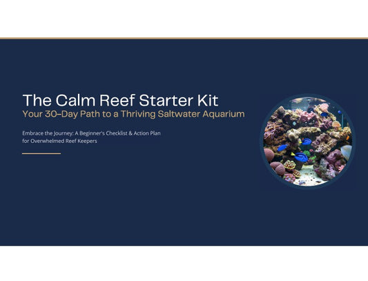 The Calm Reef Starter Kit - Your 30-Day Path to a Thriving Saltwater Aquarium | Digital PDF