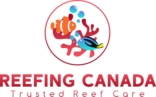 Reefing Canada